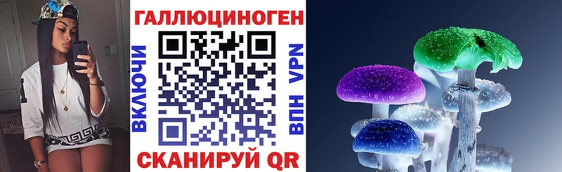 Купить где  Темрюк  Псилоцибиновые грибы прущие грибы 